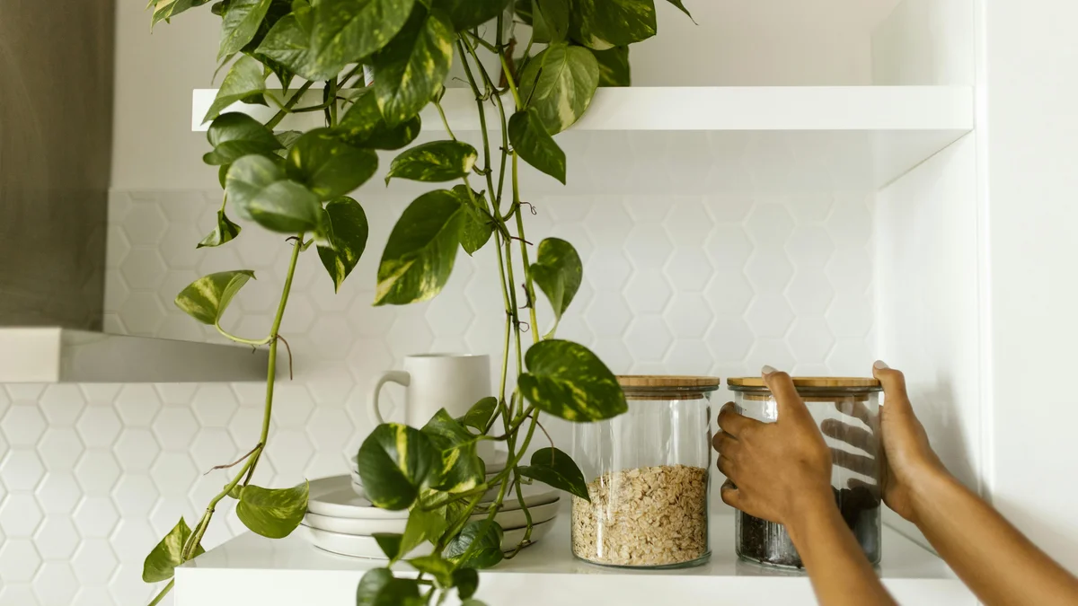 Prateleira de cozinha branca com plantas e potes de vidro exibindo um visual minimalista e organizado.