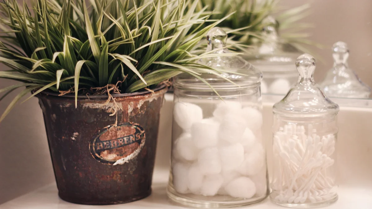 shallow focus photo of green plants beside clear glass jar Ilustração editorial secção 2 sobre melhor lixeira para