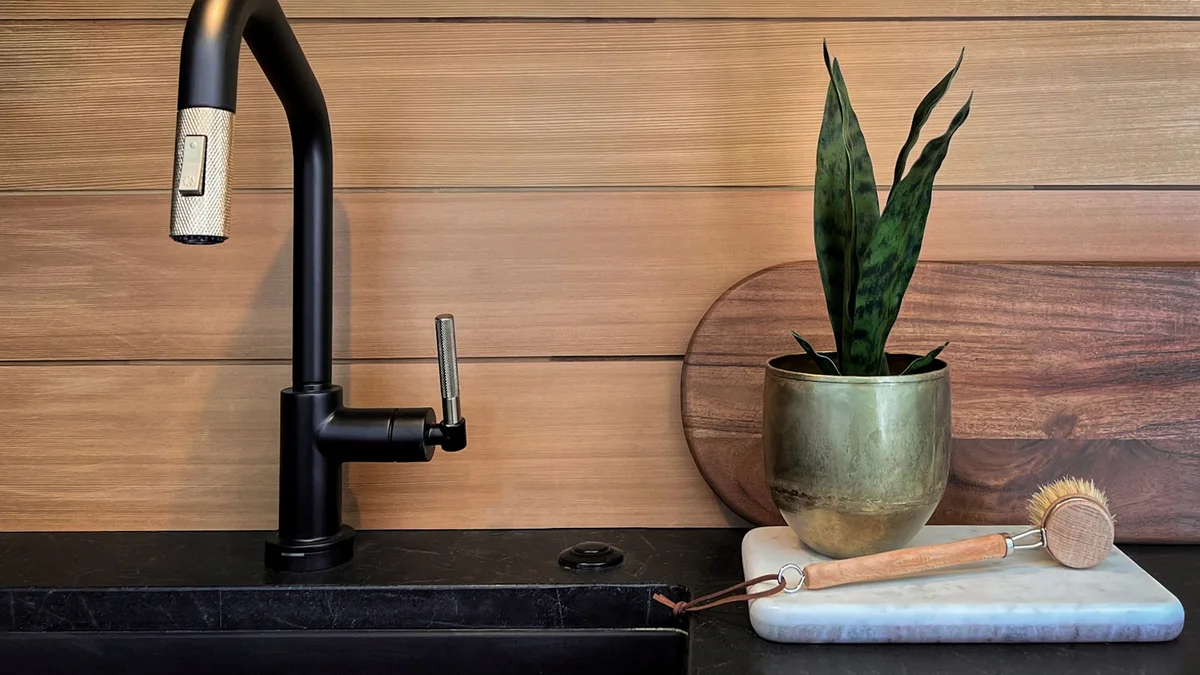 a plant in a pot Ilustração editorial secção 2 sobre melhor rodo no formato paisagem 16 por 9 para artigo editorial e