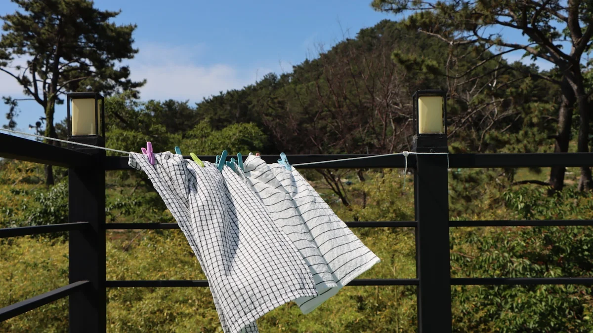 clothes hanging on a clothes line in a field Ilustração editorial secção 2 sobre Melhor Varal Retrátil de Parede no